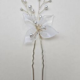 White Cypress vine 1