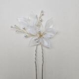 White Cypress vine 2